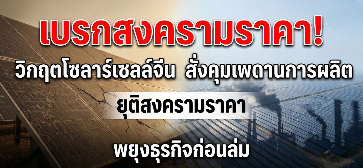 จีนสั่งเบรกโซลาร์เซลล์! ล้างไพ่กำลังผลิต สู้ปมขาดทุนยับ