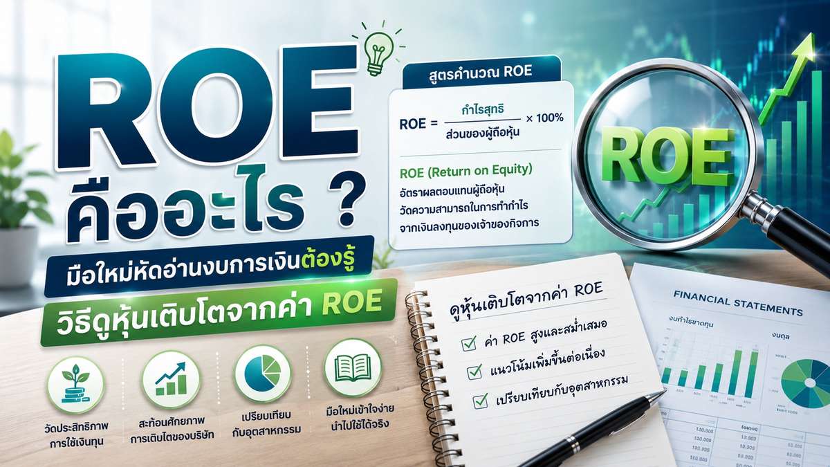 ROE คืออะไร ? มือใหม่หัดอ่านงบการเงินต้องรู้ วิธีดูหุ้นเติบโตจากค่า ROE